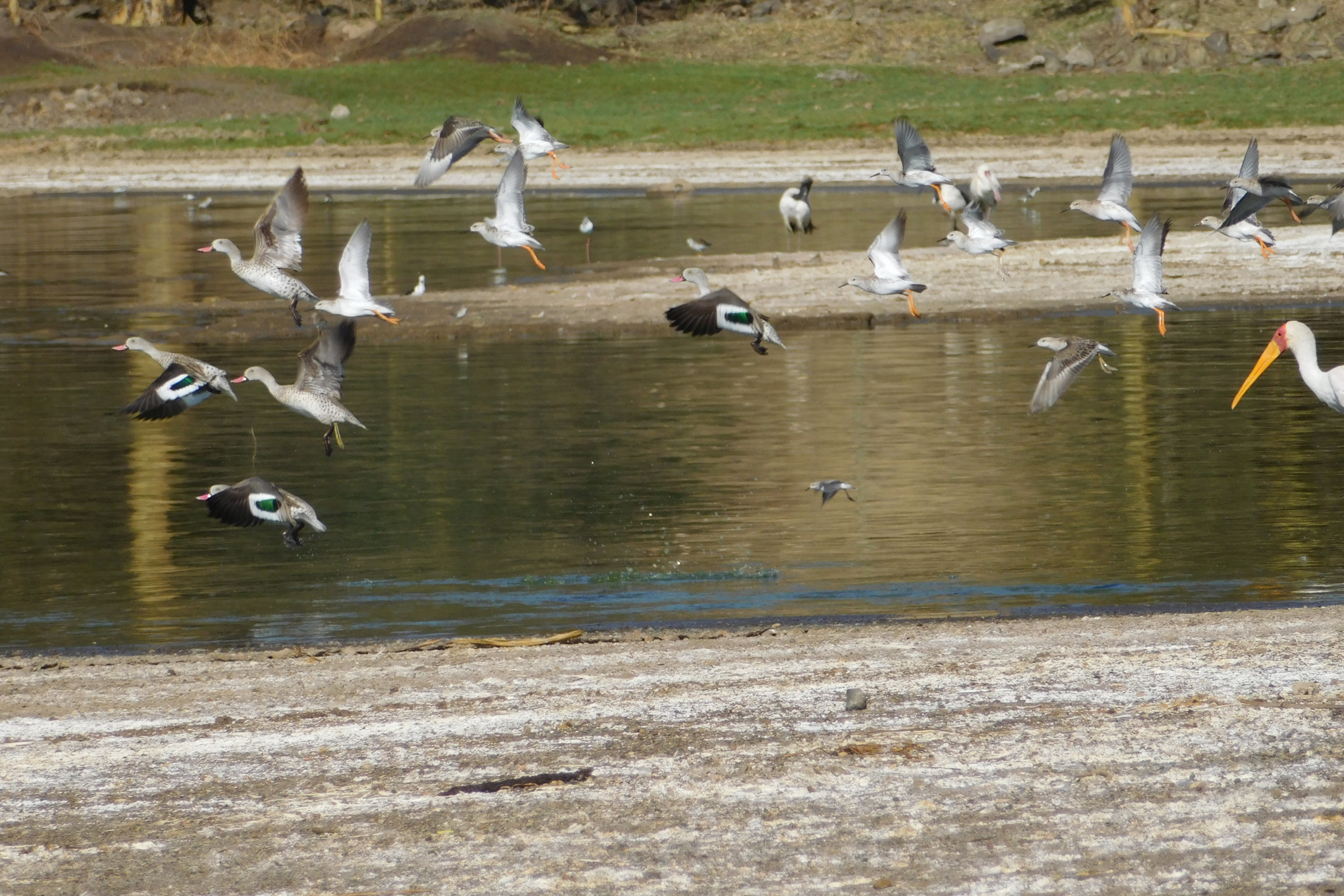 lake elementaita.webp